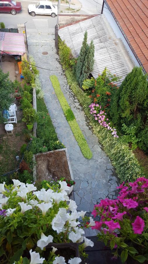 Vila Sentic Vranje Exterior photo