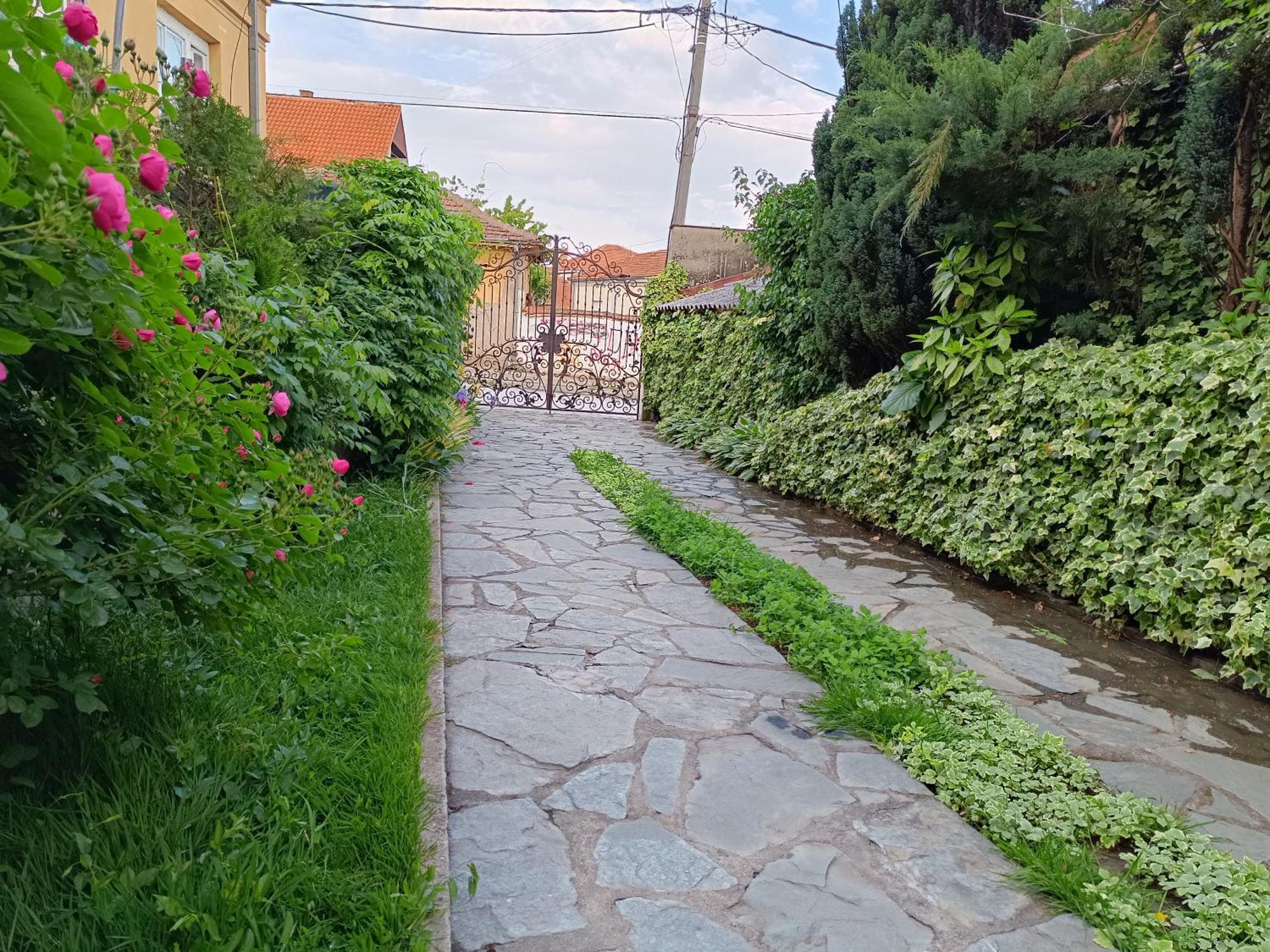 Vila Sentic Vranje Exterior photo