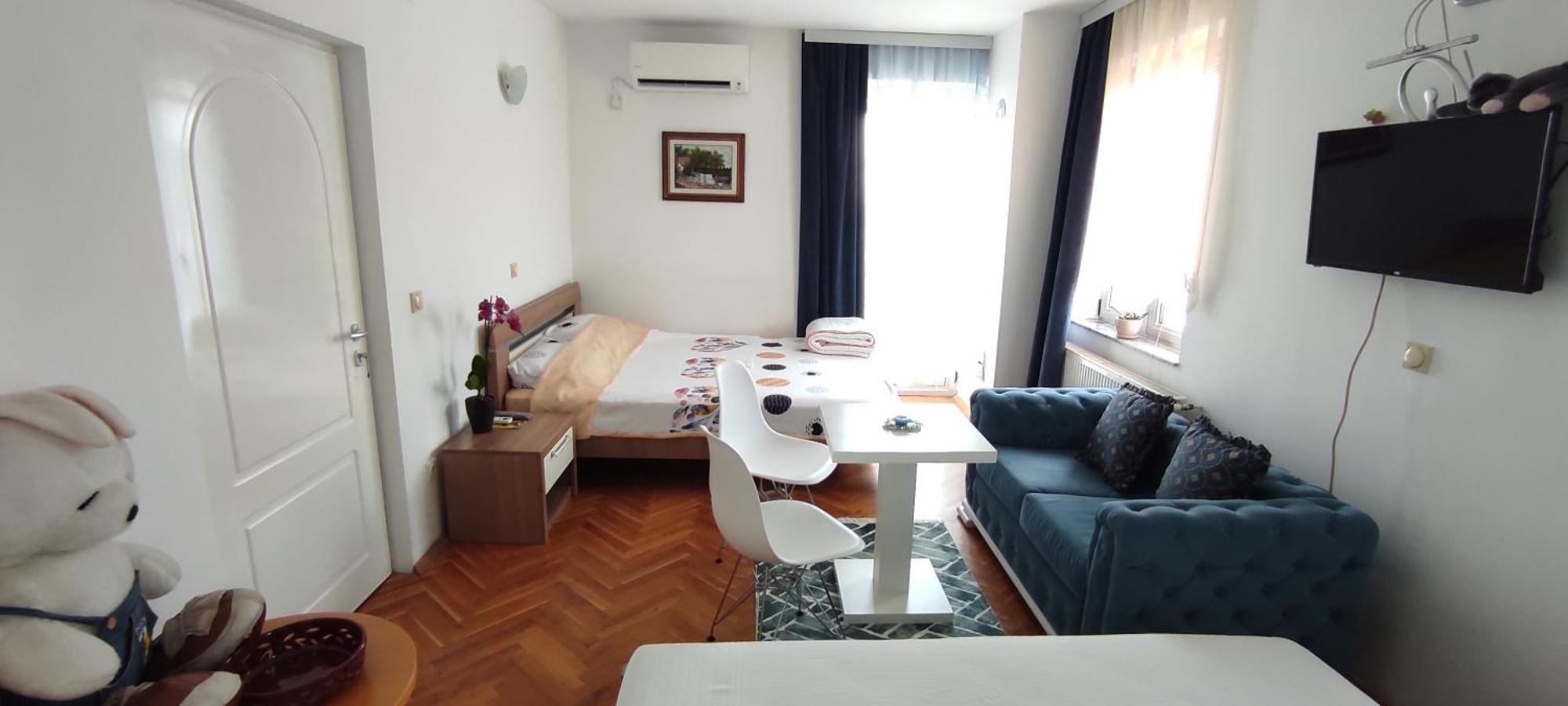 Vila Sentic Vranje Room photo