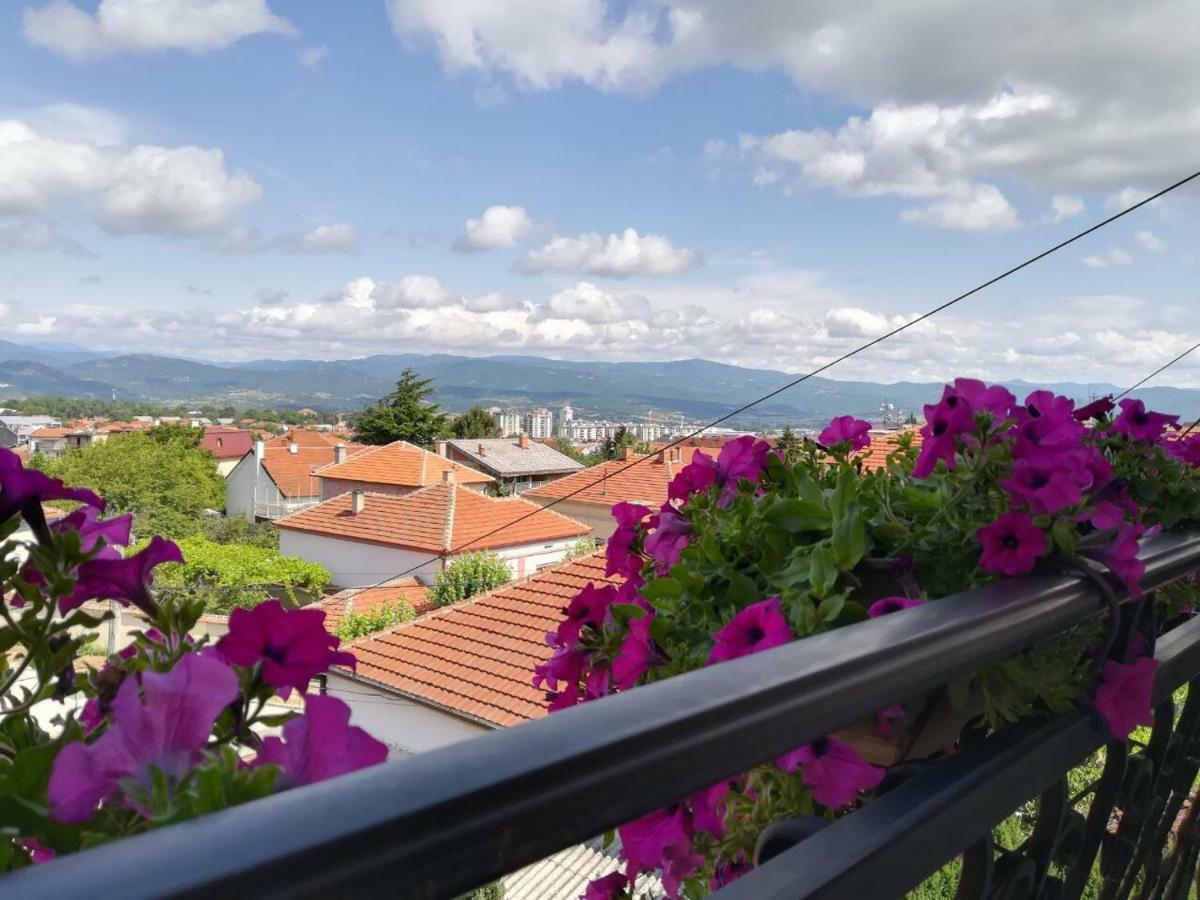 Vila Sentic Vranje Exterior photo