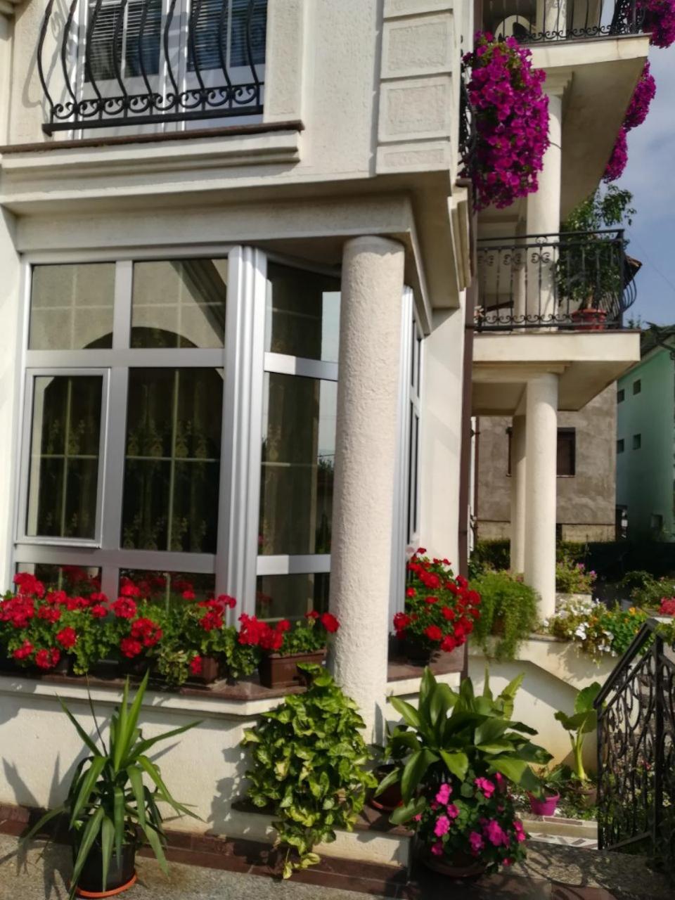 Vila Sentic Vranje Exterior photo